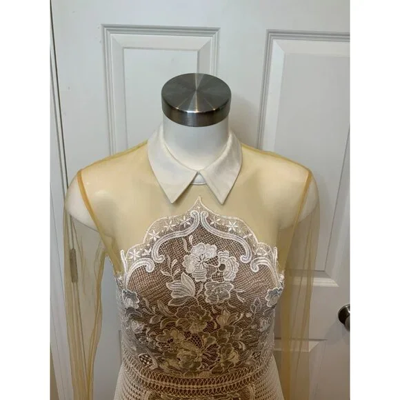 Self-Portrait White Lace Tan Mesh Collared Long Sleeve Fit & Flare Dress, Size 8 - Picture 2 of 8